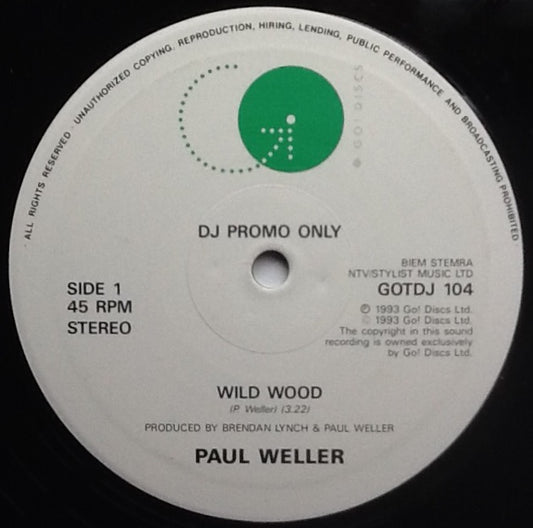 Paul Weller Wild Wood Original NMint 2 Track 10” DJ Promo Demo Vinyl Single UK 1993