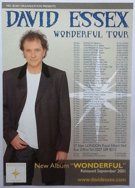 David Essex Original Concert Handbill Flyer Wonderful Tour 2001