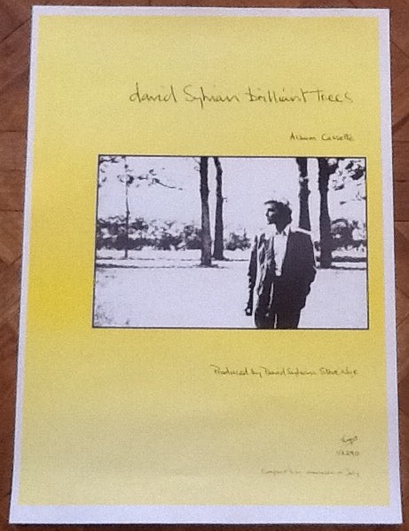 Japan David Sylvian Brilliant Trees Original Promo Poster Virgin 1984