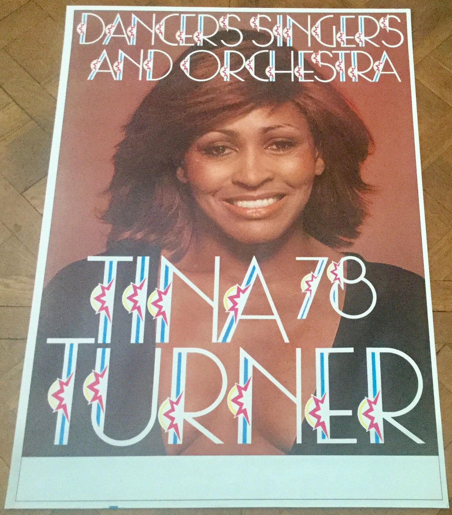 Tina Turner Original Concert Tour Gig Poster European Tour 1978