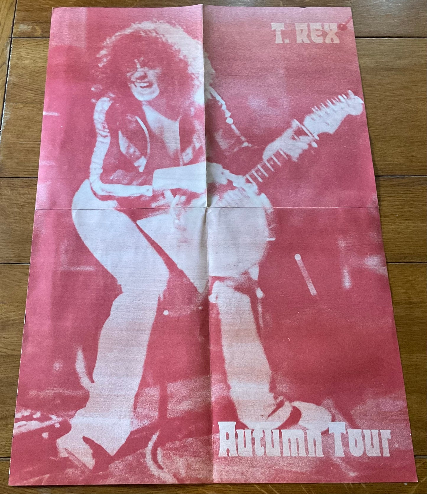 Marc Bolan T-Rex Original Concert Tour Gig Poster Autumn Tour 1971